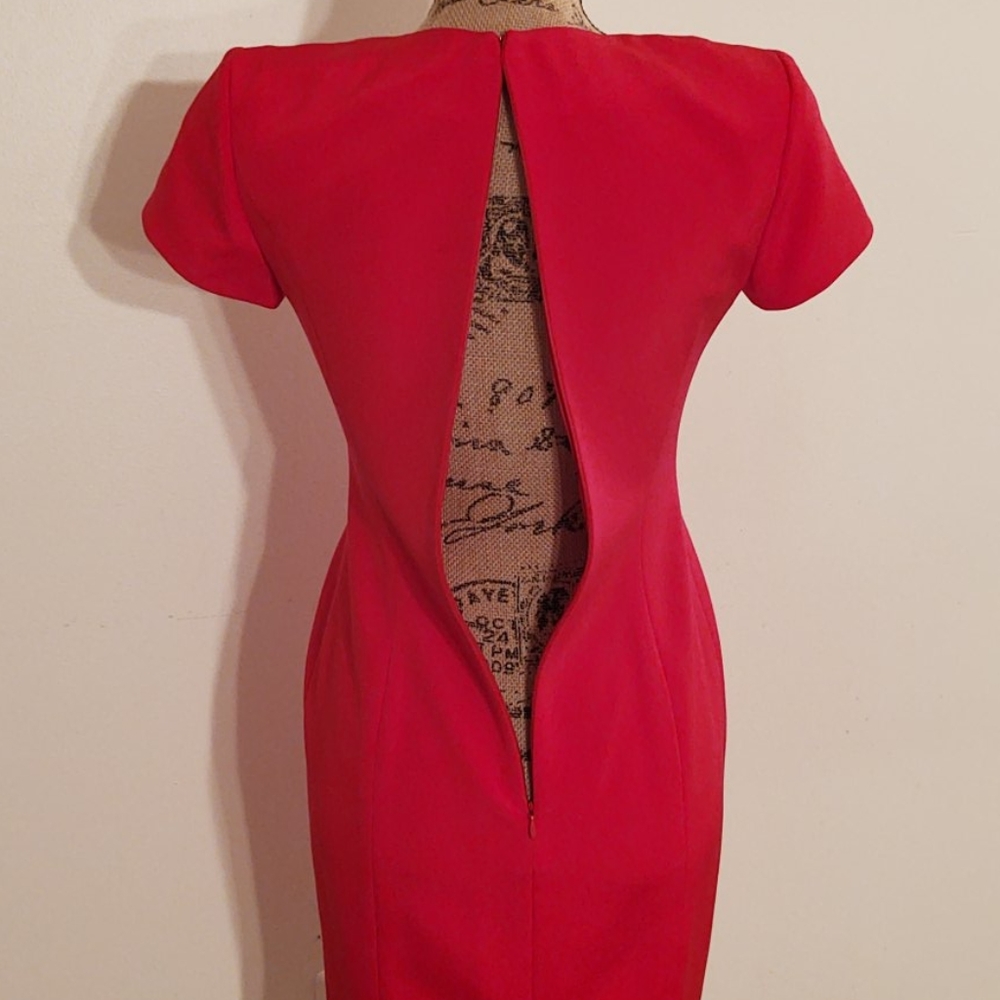 Fuschia | Gillian Women Petites Silk Dress | 2P - Picture 10 of 11